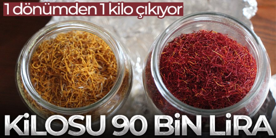 1 dönümden 1 kilo çıkıyor, kilosunu 90 bin liraya satıyor