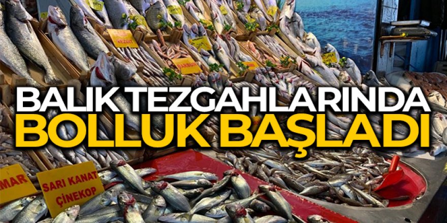 Geçtiğimiz günlerde boş kalan balık tezgahlarında bolluk başladı