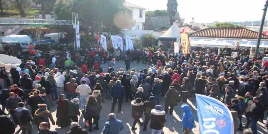 Bodrum'da 2,5 ton hamsi dağıtıldı, metrelerce kuyruk oluştu