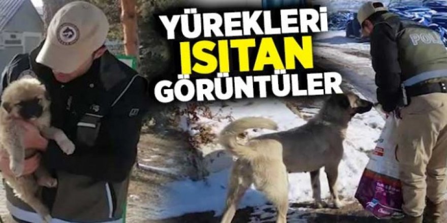 Erzurum'da Polis ekipleri yaban hayvanlarını unutmadı