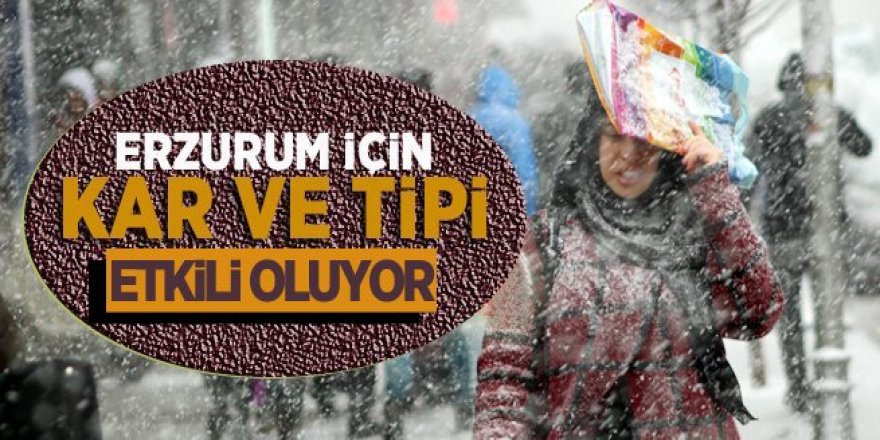 Erzurum’da kar ve tipi etkili oluyor