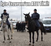 20 Kişilik Atlı Polis Timi
