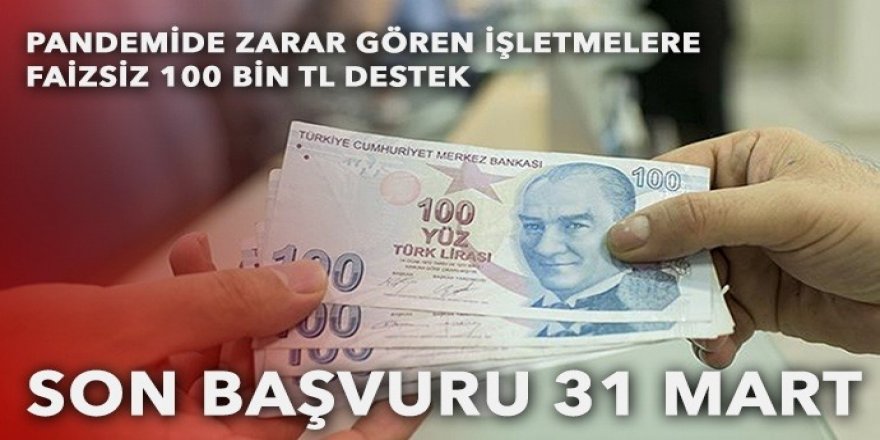 Pandemide zarar gören işletmelere faizsiz 100 bin TL destek