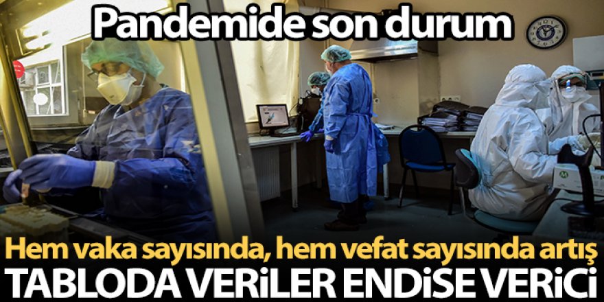 Türkiye'nin son 24 saatlik korona virüs tablosunu açıkladı