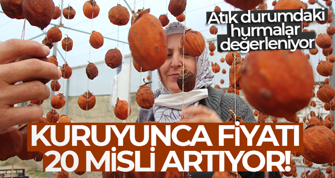 Kuruyunca fiyatı 20 misli artıyor