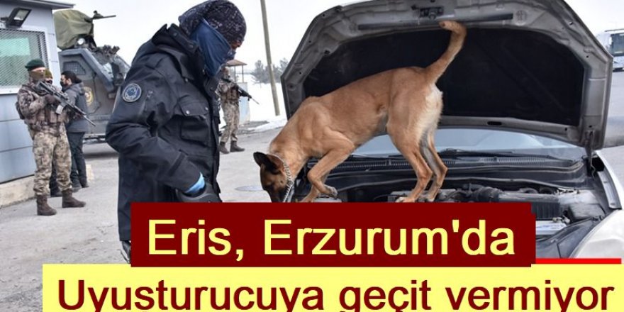 Eris, Erzurum’da uyuşturucuya geçit vermiyor