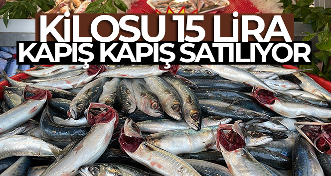 Kilosu 15 lira, kapış kapış satılıyor