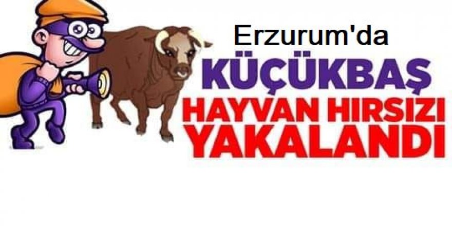 Erzurum'da 19 küçükbaş hayvanı çalan 7 kişi yakalandı