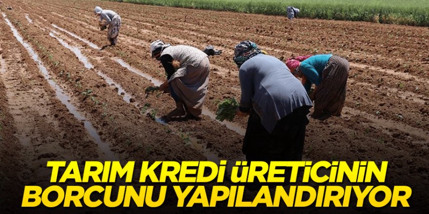 Tarım krediden üreticiye borç yapılandırması