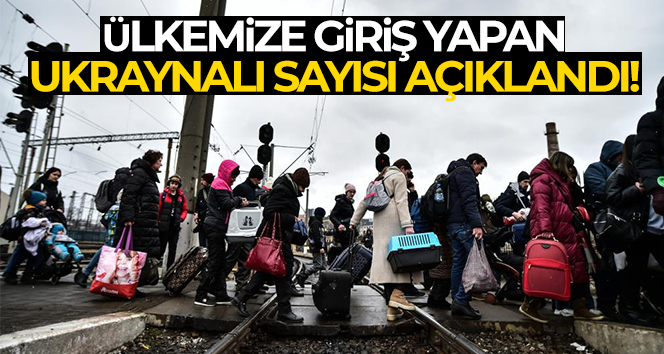 İçişleri Bakan Yardımcısı ve Bakanlık Sözcüsü Çataklı'dan Ukrayna açıklaması