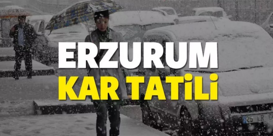 Erzurum ve 15 ilde daha hava şartları nedeniyle eğitime ara verildi
