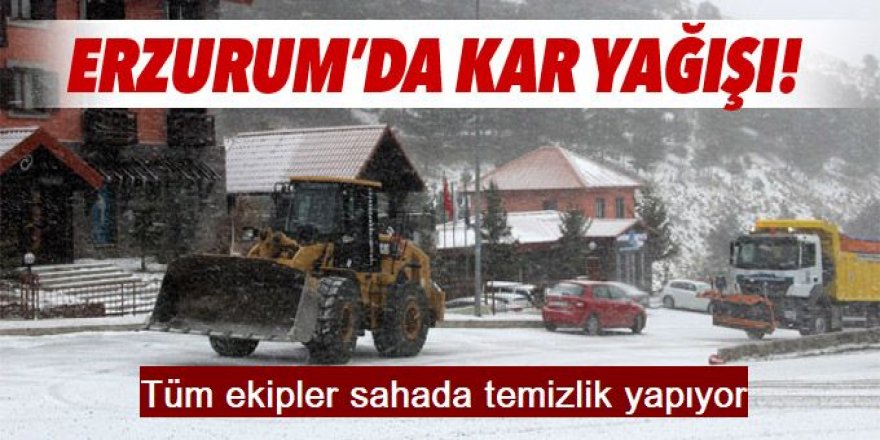 Erzurum'da Kar timleri kenti baştan aşağı kardan temizliyor