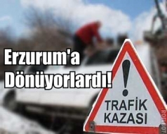 Minibüs devrildi: 12 yaralı!