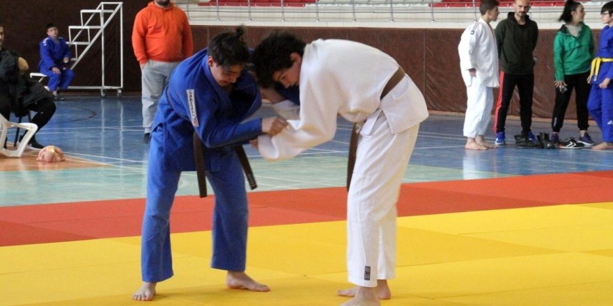 Judoda Analig heyecanı sona erdi