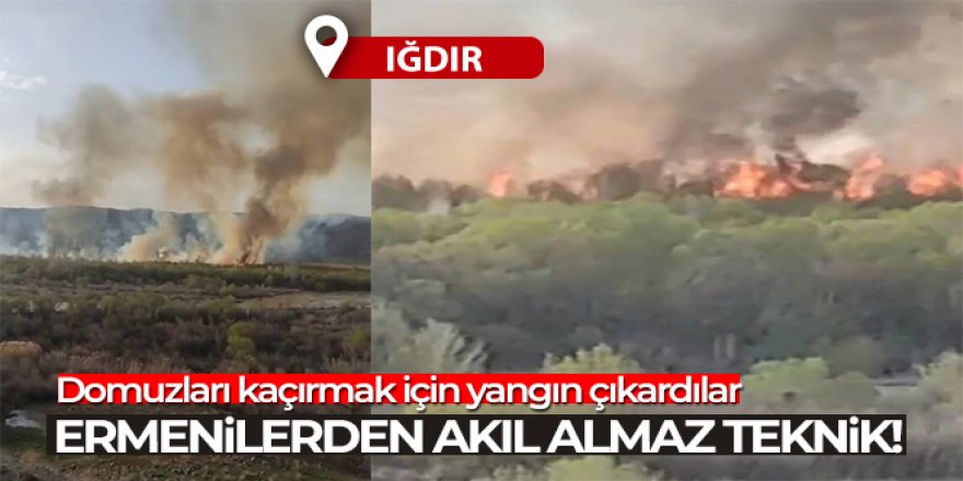 Ermenilerden akıl almaz teknik, domuzlar için ormanı yaktılar