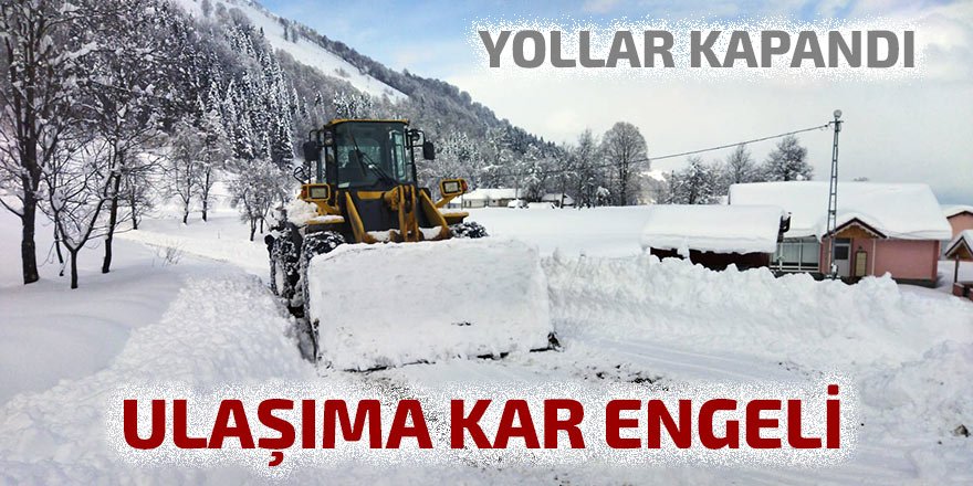 Kar yolları trafiğe kapattı