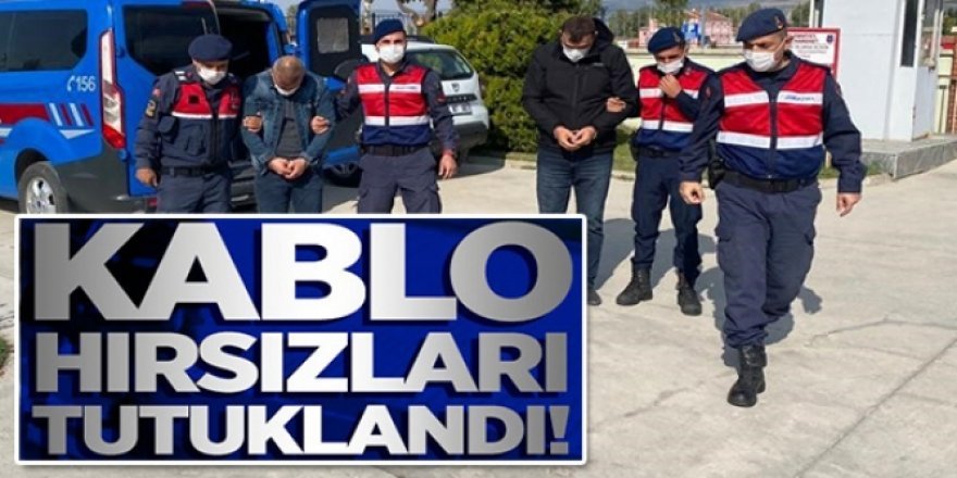 Erzurum'da Kablo hırsızları jandarmadan kaçamadı