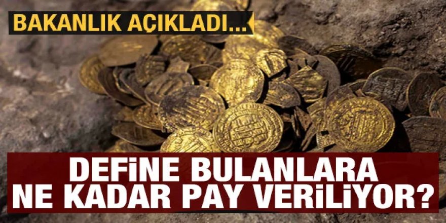 Define bulanlara ne kadar pay veriliyor: Bakanlık açıkladı