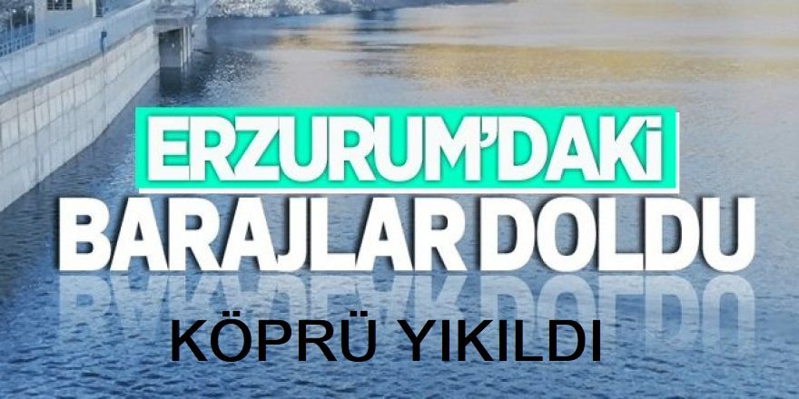 Erzurum'da Eriyen kar suları köprüyü yıktı