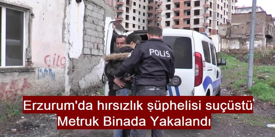 Erzurum'da hırsıza suçüstü