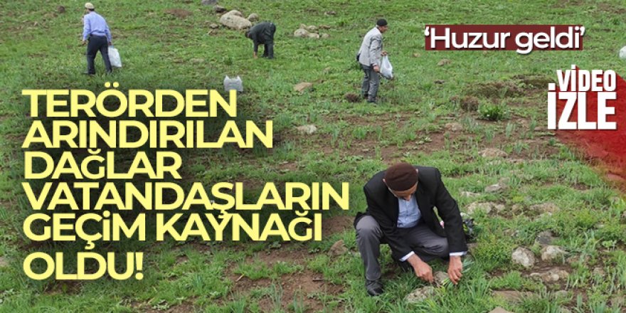 Doğu ve Güneydoğuda teröristlerden arındırılan dağlar, vatandaşların geçim kaynağı oldu