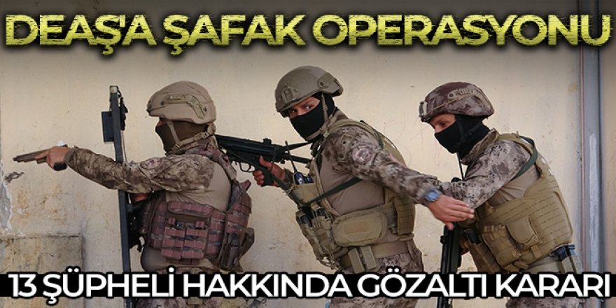 DEAŞ'a şafak operasyonu: 13 gözaltı