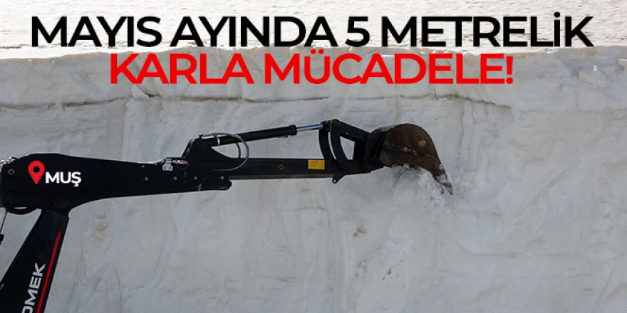 Muş'ta mayıs ayında 5 metrelik karla mücadele