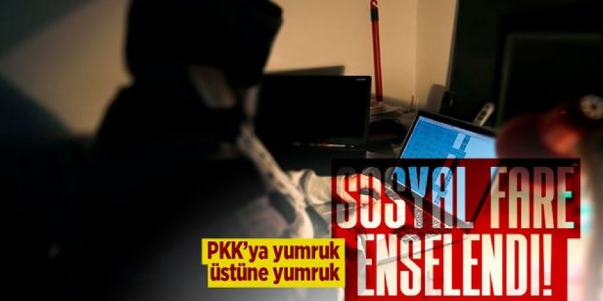 İstanbul merkezli , Erzurum ve 7 ilde terör operasyonu