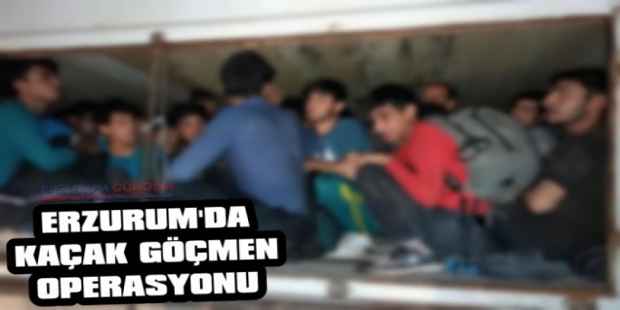 Erzurum’da 41 kaçak göçmen yakalandı