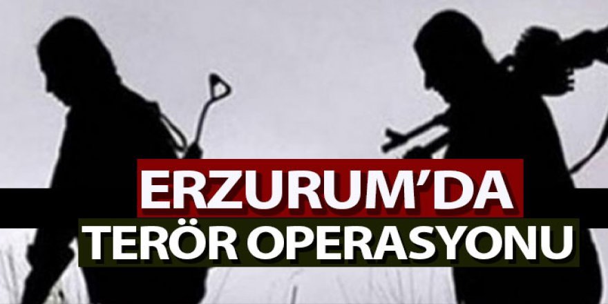 Karayazı’da terör operasyonu