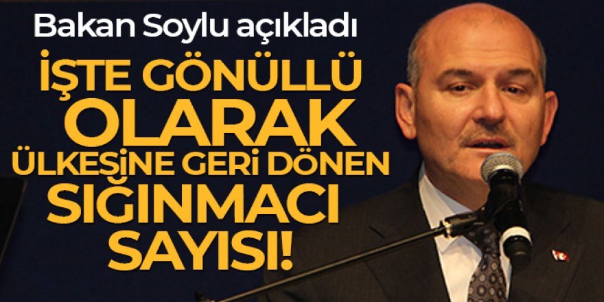 Bakan Soylu: '502 bin sığınmacı gönüllü olarak ülkesine döndü'