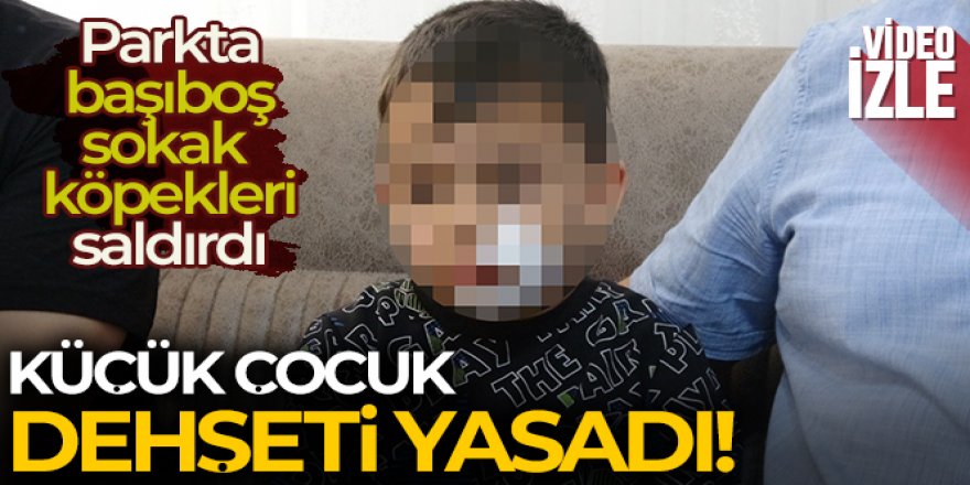 Anaokulu öğrencisi dehşeti yaşadı