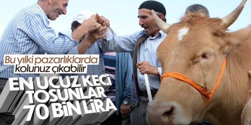 Kurbanlık fiyatları yükseldi, büyükbaşlar 70 bin TL'yi gördü