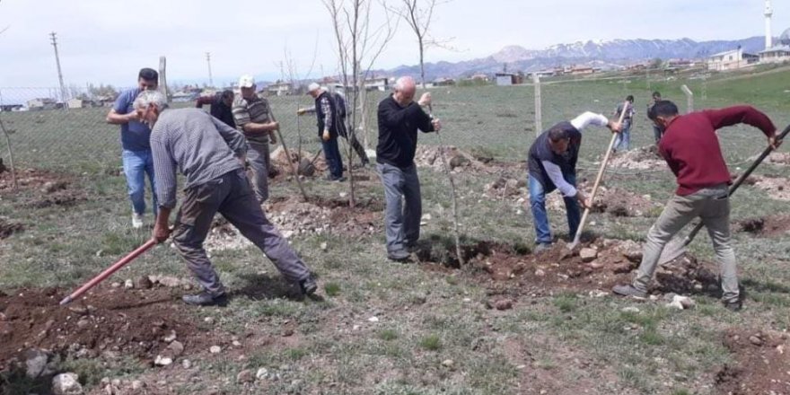 Aşkale’de 3 bin fidan toprakla buluştu