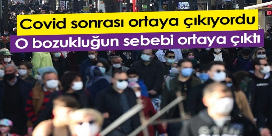 Covid sonrası koku bozukluğunun sebebi bulundu