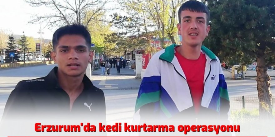 Erzurum'da kedi kurtarma operasyonu