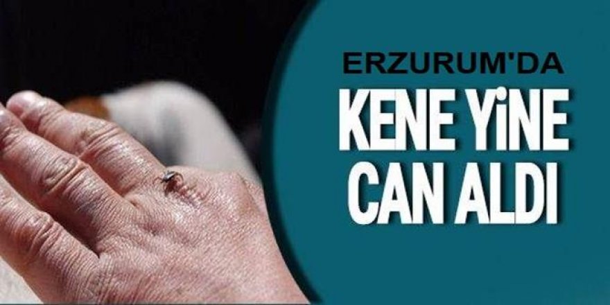 Erzurum'da kene can aldı