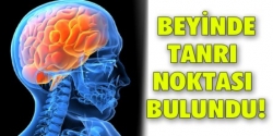 Beynin En İlginç Noktası