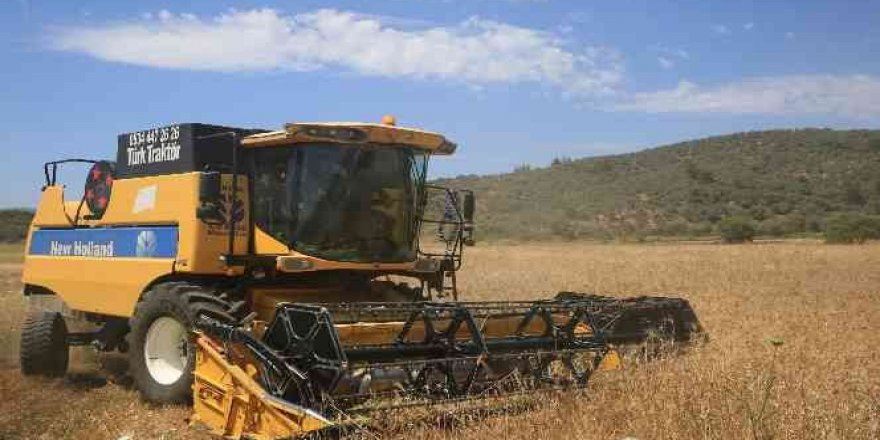 Karaova'da Karakılçık Buğdayı hasadı yapıldı