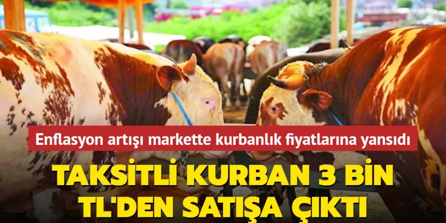 Markette taksitli kurban 3 bin TL'den satışa çıktı