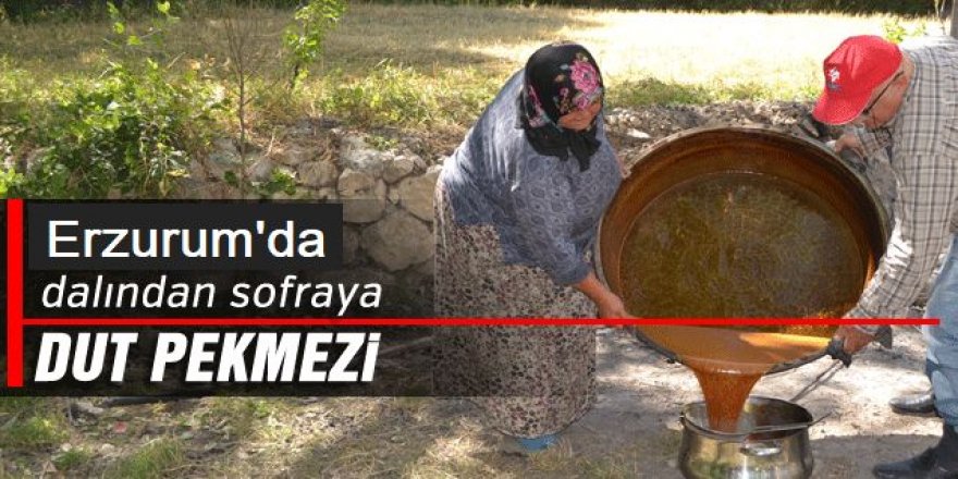 Karnavas'ta kazanlar dut pekmezi için kaynamaya başladı