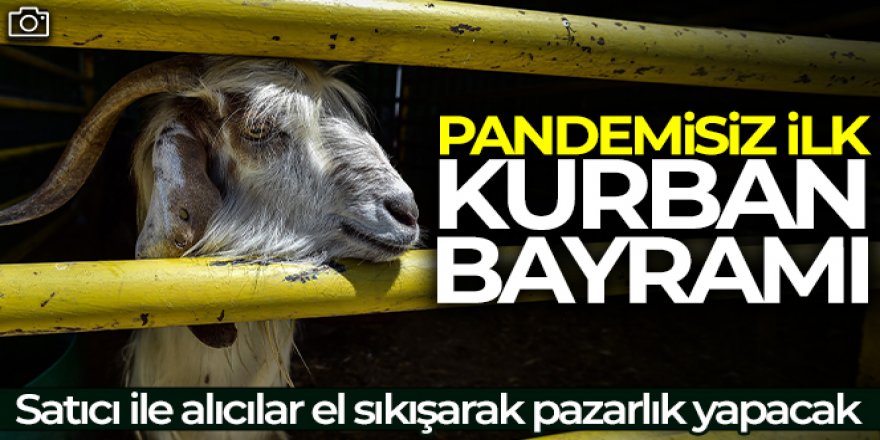 2 yıl sonra pandemisiz ilk Kurban Bayramı, satıcı ile alıcılar el sıkışarak pazarlık yapacak