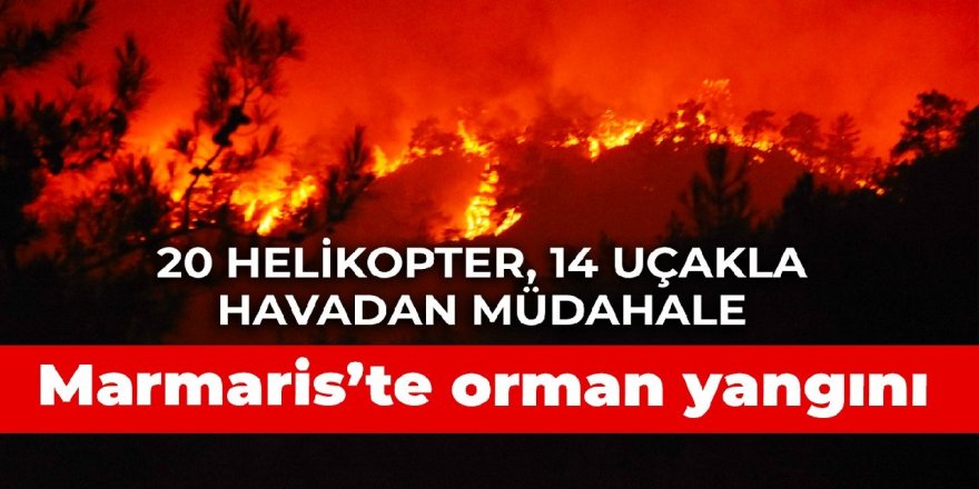 Marmaris'te orman yangını: