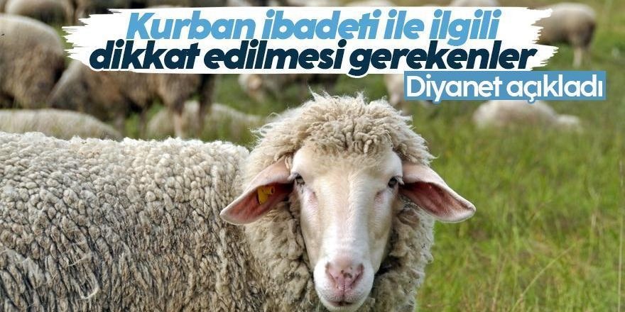 Kurban ibadeti ile ilgili dikkat edilmesi gerekenler