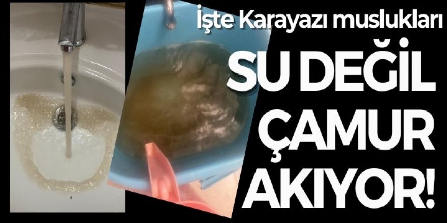 Karayazı’da musluklardan çamurlu su akıyor