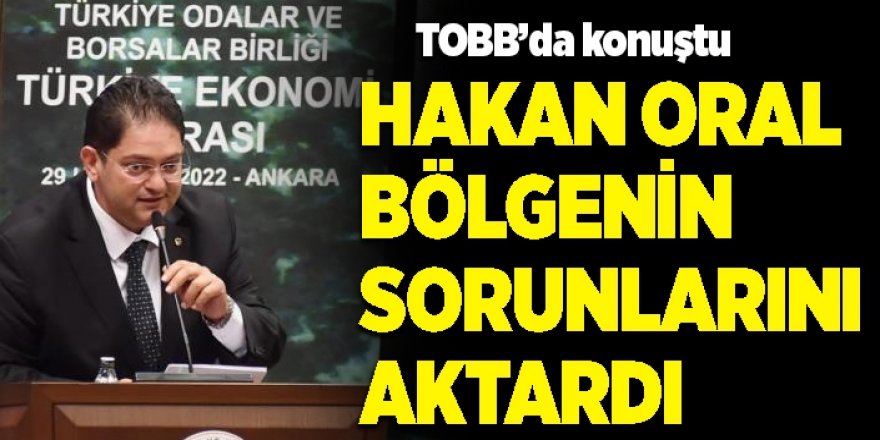 Oral bölgenin sorunlarını Cumhurbaşkanı Yardımcısı Fuat Oktay’a aktardı