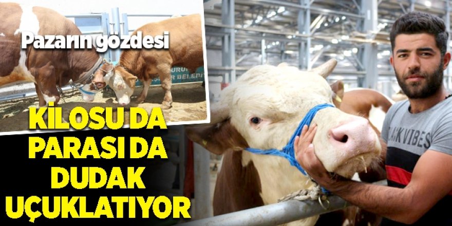 Kilosu da parası da dudak uçuklatıyor