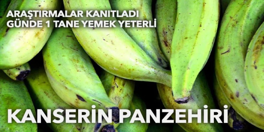 Kanserin panzehiri: Günde 1 tane yemek yetiyor! Faydası hayrete düşürüyor