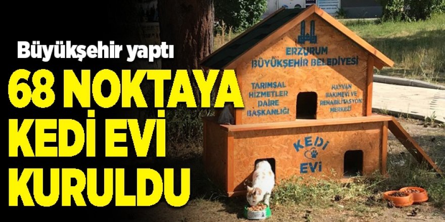 Büyükşehir il genelinde 68 noktaya kedi evi kurdu