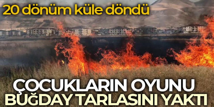 Erzurum'da Çocuklar buğday tarlasını yaktı, 20 dönüm küle döndü